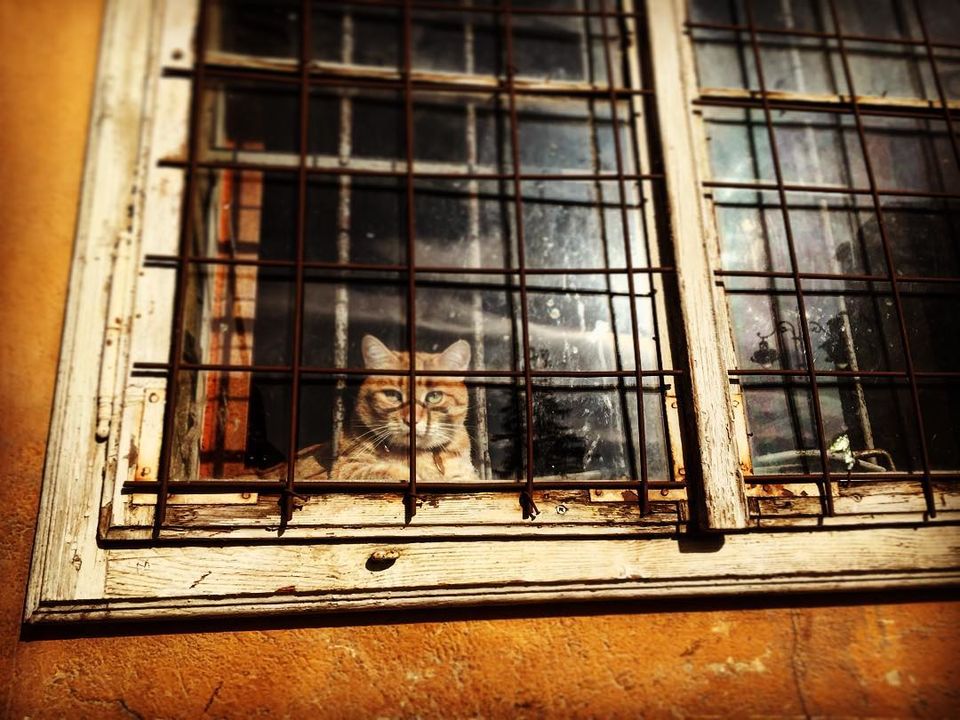 Photo of The Best Of Street Photography In Romania – Glimpse of Artistic Romania 13/15 by Priti Raman Vishwakarma