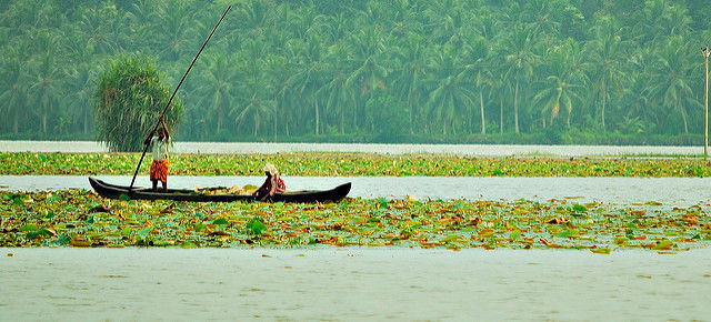 Photo of Kerala Has Been Ranked As The Best Travel Destination In India. Why Haven't You Been There Yet? 5/60 by Tripoto