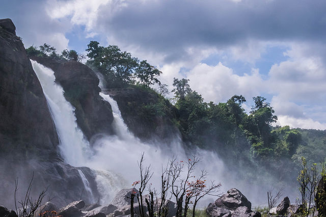 Photo of Kerala Has Been Ranked As The Best Travel Destination In India. Why Haven't You Been There Yet? 53/60 by Tripoto