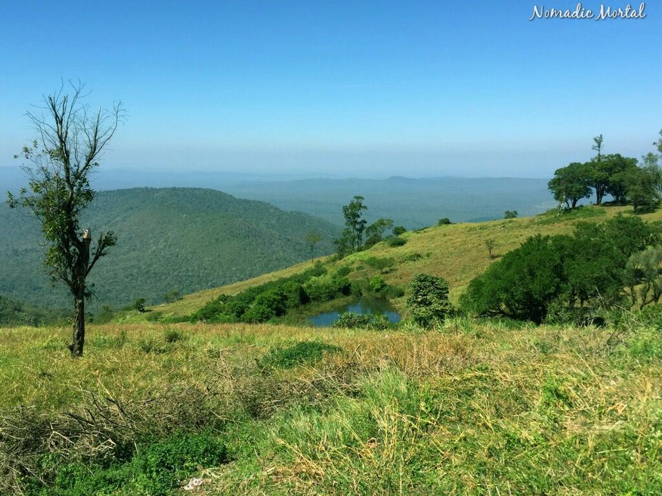 Photo of My soul jumped with glee – Himavad Gopalaswamy Betta 9/11 by Shwetha