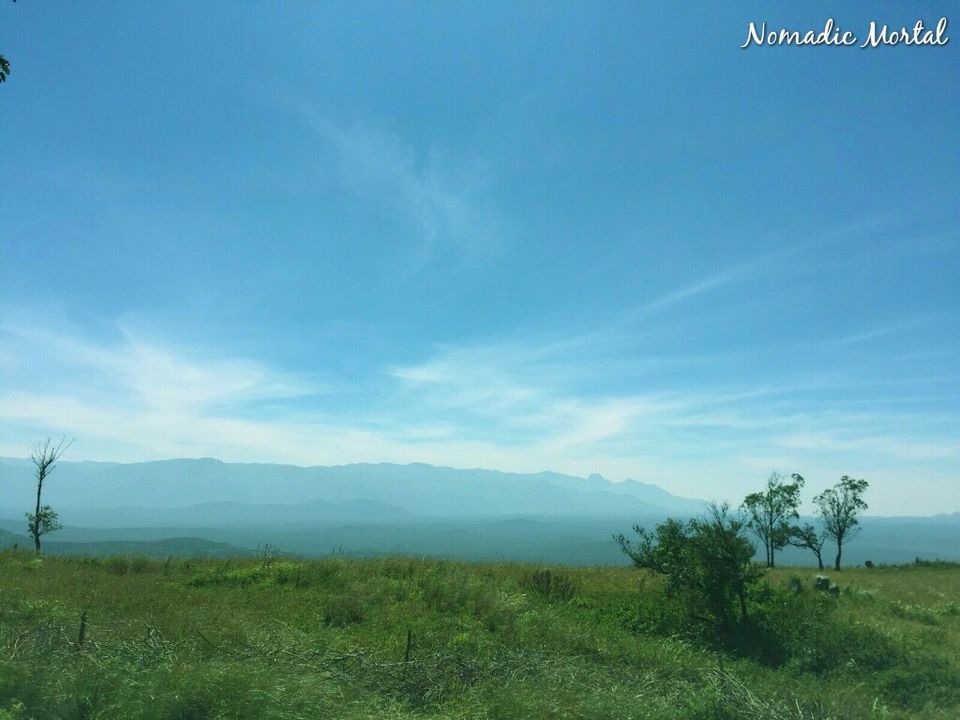 Photo of My soul jumped with glee – Himavad Gopalaswamy Betta 11/11 by Shwetha