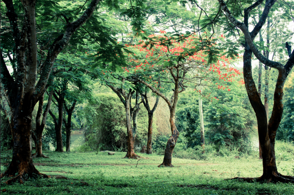 Photo of 12 Places Lonely Hearts Can Choose Over People This Valentines Day 19/19 by Disha Kapkoti