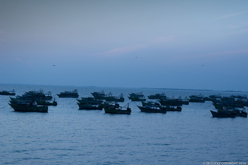 Photo of Road trip to Dhanushkodi: The ghost town of Rameshwaram 13/19 by Sayantan Roy