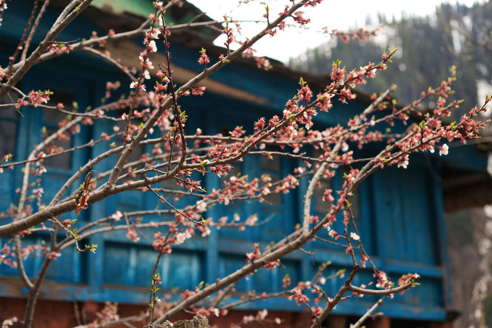 Photo of 11 Places In India Where Office Mails Won’t Reach You 2/11 by Sreshti Verma