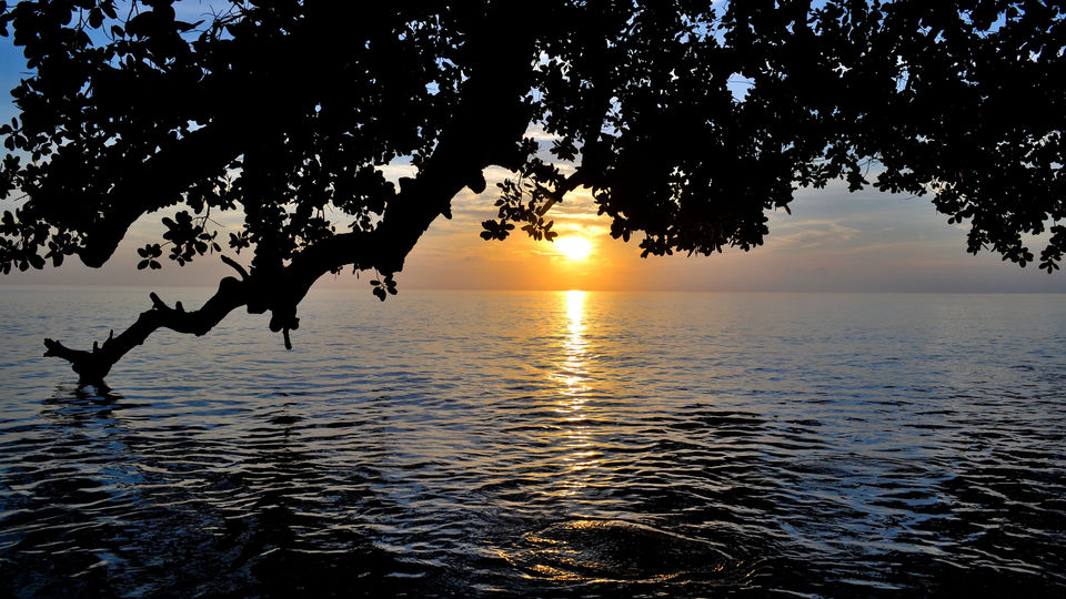 Photo of 11 Places In India Where Office Mails Won’t Reach You 3/11 by Sreshti Verma