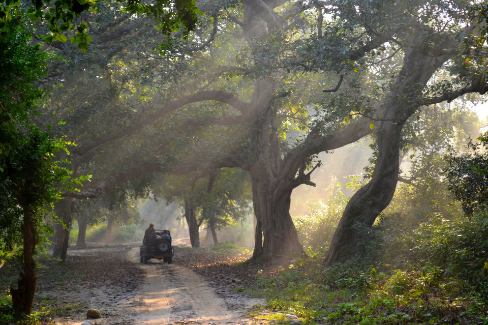 Photo of 11 Places In India Where Office Mails Won’t Reach You 11/11 by Sreshti Verma