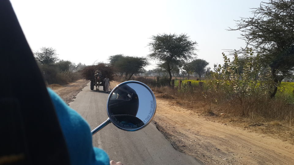 Photo of Let's ditch the usual Jaipur this time 19/24 by vineet saddyan
