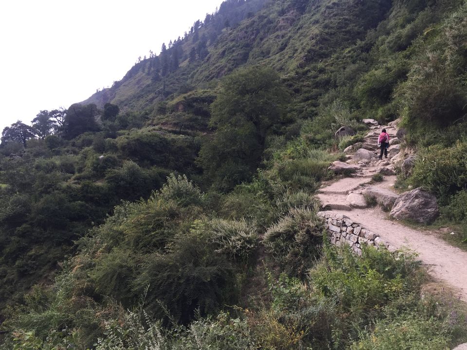 Photo of The hippie trippie trail to Kheer Ganga 2/4 by Himalayan Drifters