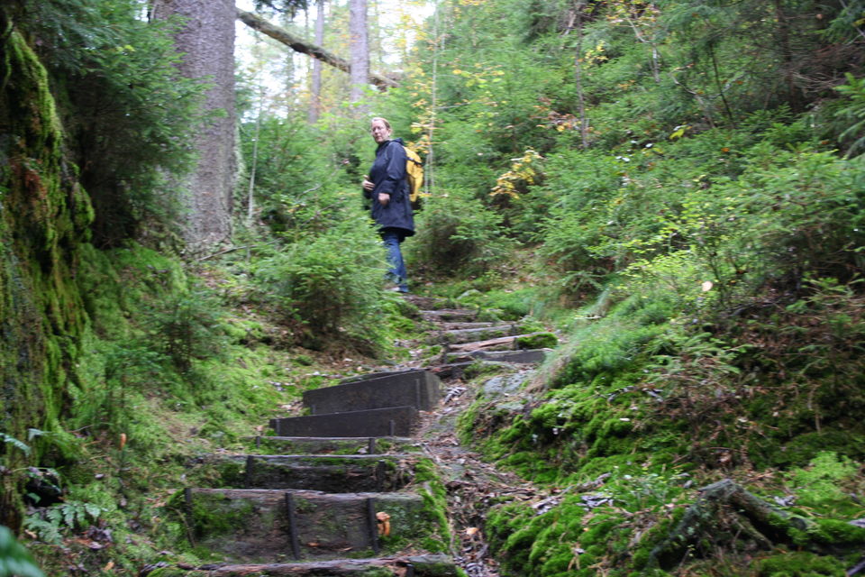 Photo of National Park Bohemian Switzerland by Guide Bohemian Switzerland