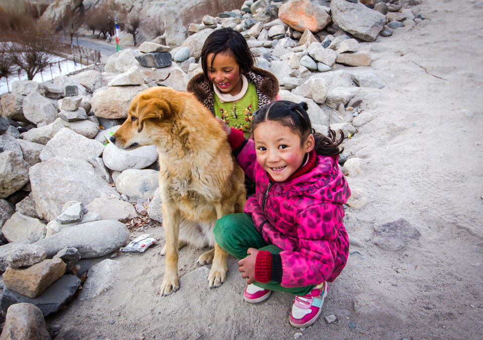 Photo of 10 reasons that will convince you to visit Ladakh in Winter instead of tourist season 8/14 by Ayan Das