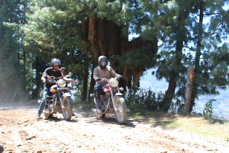 Photo of Behind the bars - Pabber Valley & Chanshal Pass 29/33 by vineet saddyan