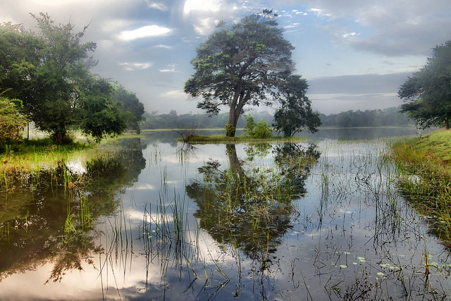 Photo of With Elephants, Turtles, And More Exotic Wildlife, Sri Lanka Makes For A Great Family Getaway 2/2 by Tripoto