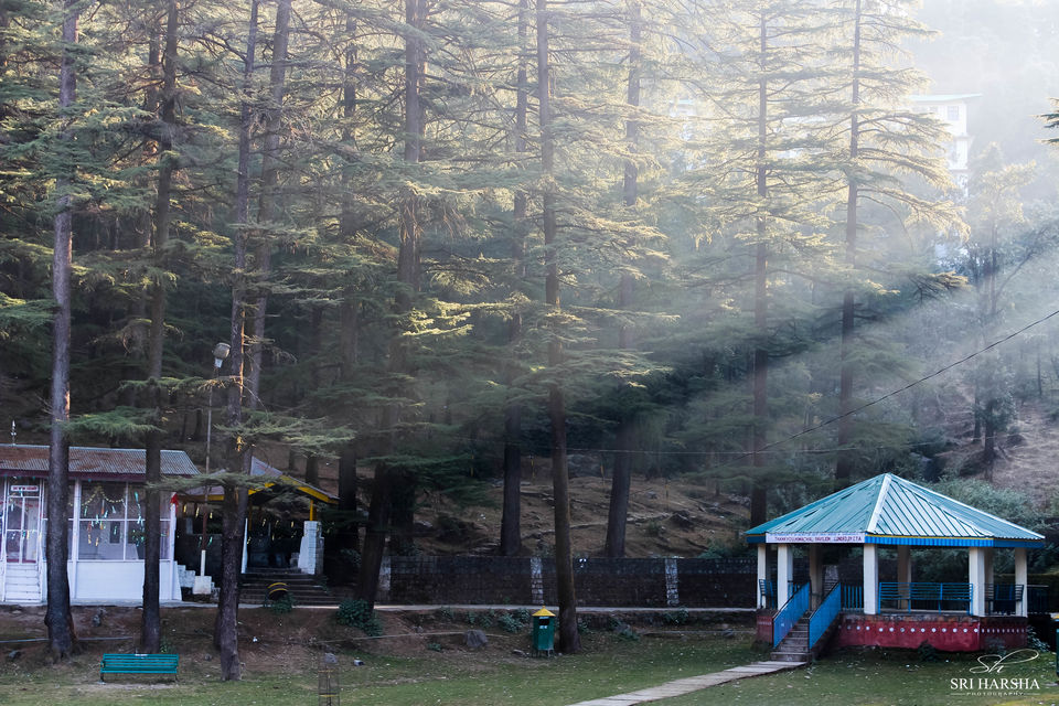 Photo of Triund Trek 13/26 by Sri Harsha
