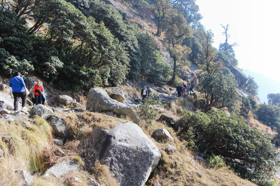 Photo of Triund Trek 22/26 by Sri Harsha