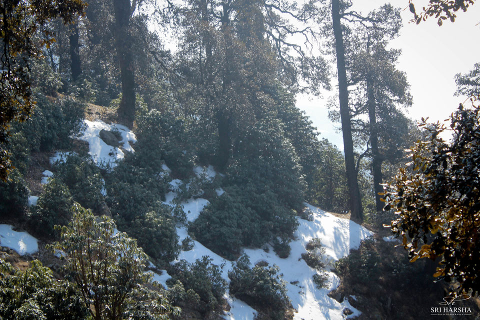 Photo of Triund Trek 23/26 by Sri Harsha