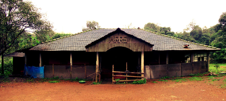 Photo of Cherrapunji of South: Agumbe 5/11 by Swathi Mudhunuri