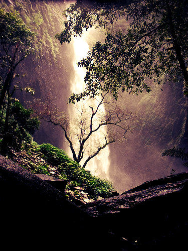 Photo of Cherrapunji of South: Agumbe 9/11 by Swathi Mudhunuri