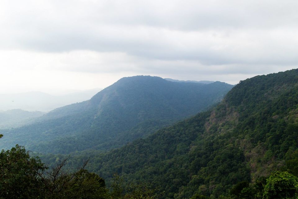Photo of Cherrapunji of South: Agumbe 10/11 by Swathi Mudhunuri