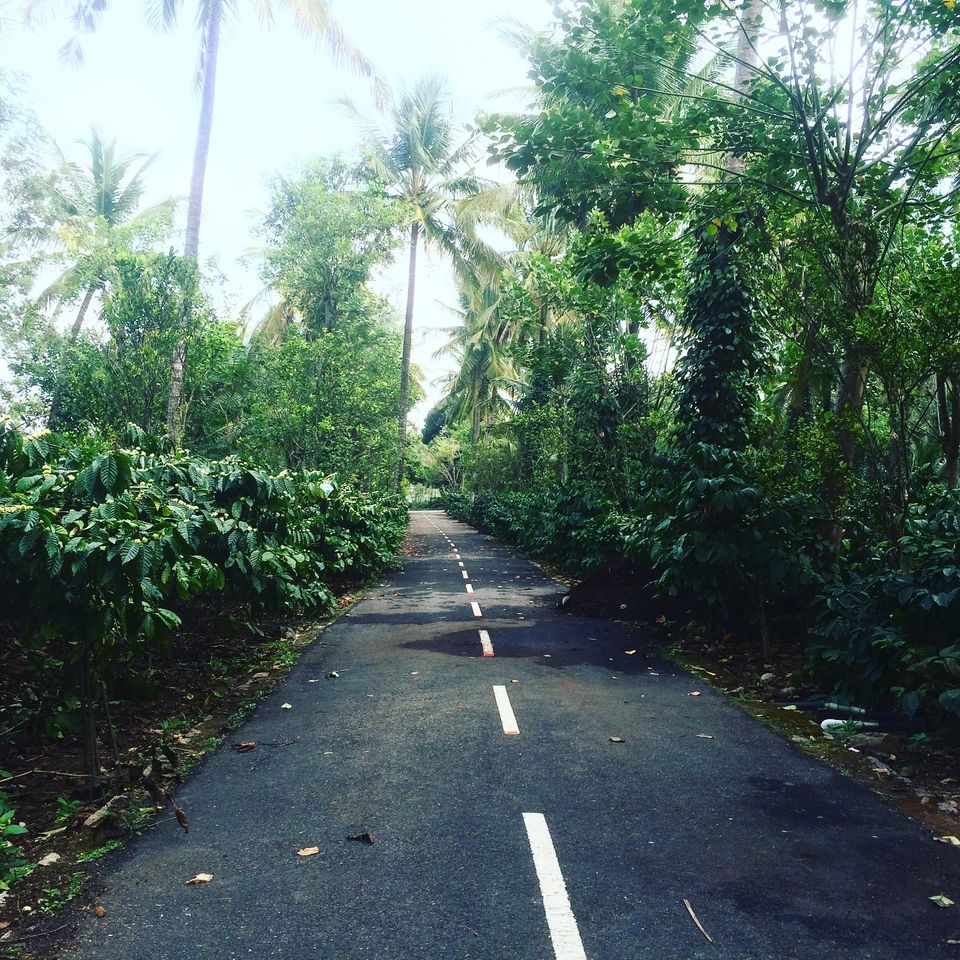 Photo of Should you visit Coorg or not? Find out here! 3/9 by Ashna Sirohi