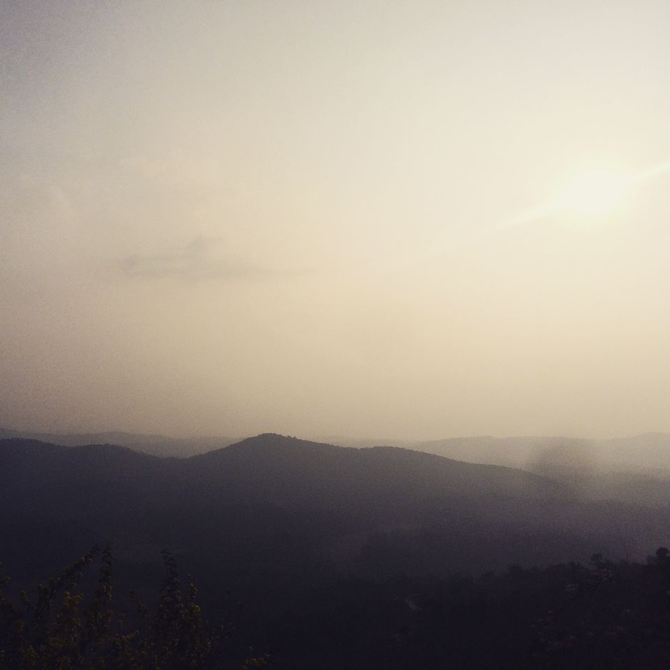 Photo of Should you visit Coorg or not? Find out here! 8/9 by Ashna Sirohi