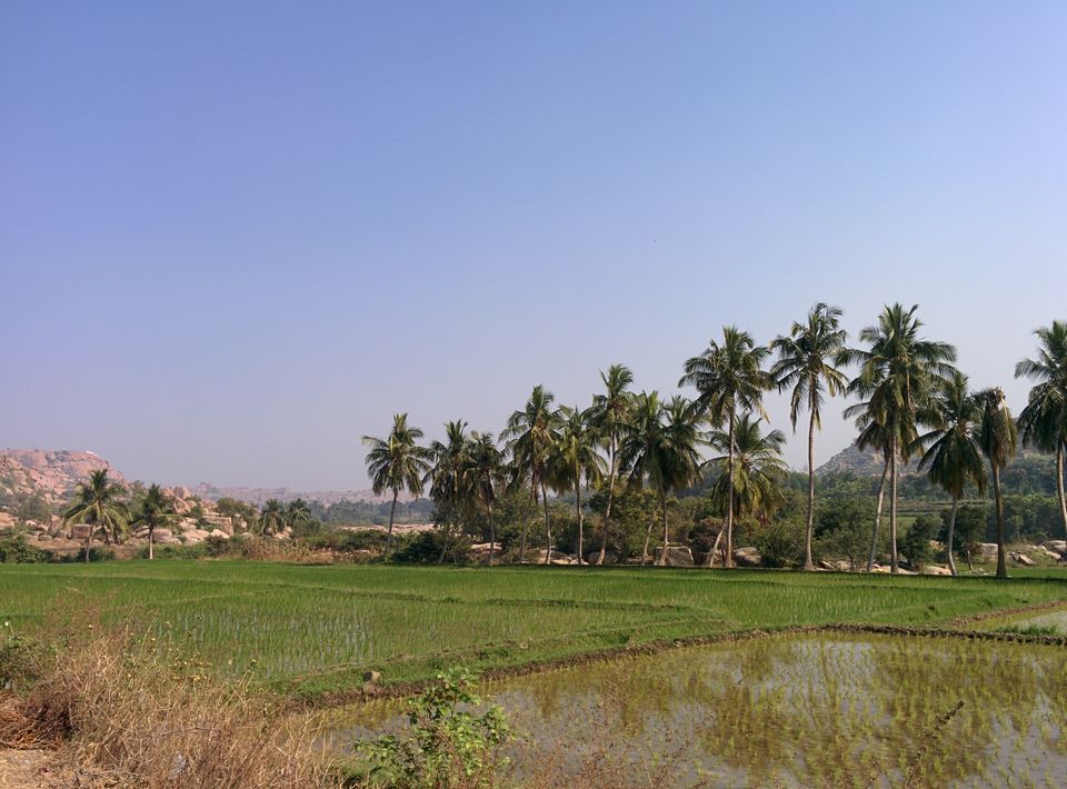 Photo of The ruins of Hampi: Things to Do & See! 11/25 by Siddharth R. Sharma