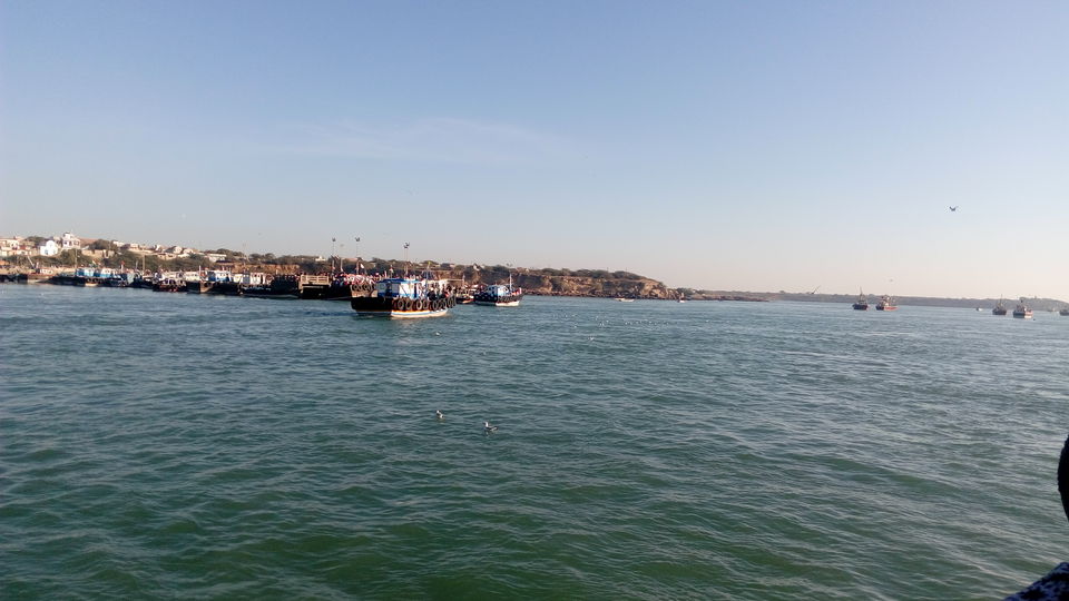 Photo of Glimpse Of Glorious Gujarat !!! 16/18 by mohit sharma