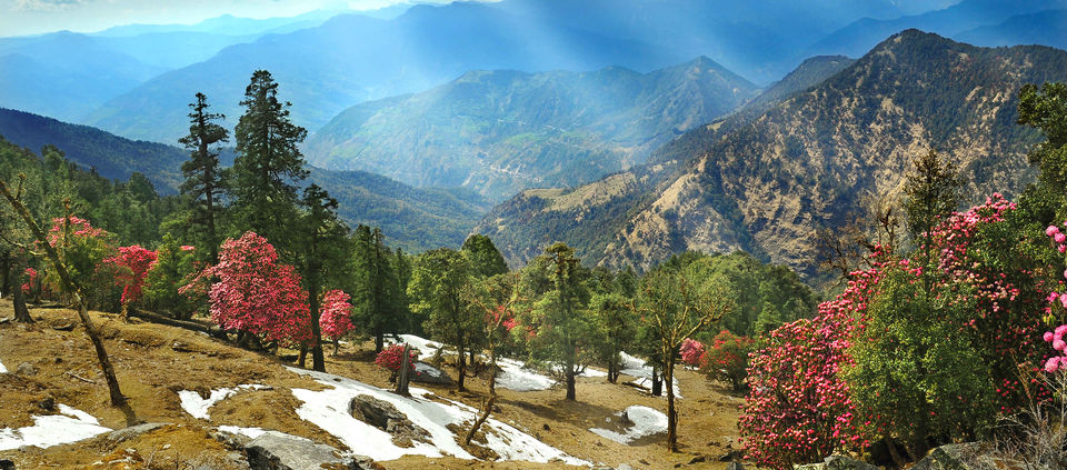 Photo of Weekend getaways near Delhi that are low on budget, high on leisure 5/5 by Kanika Kaur Oberoi