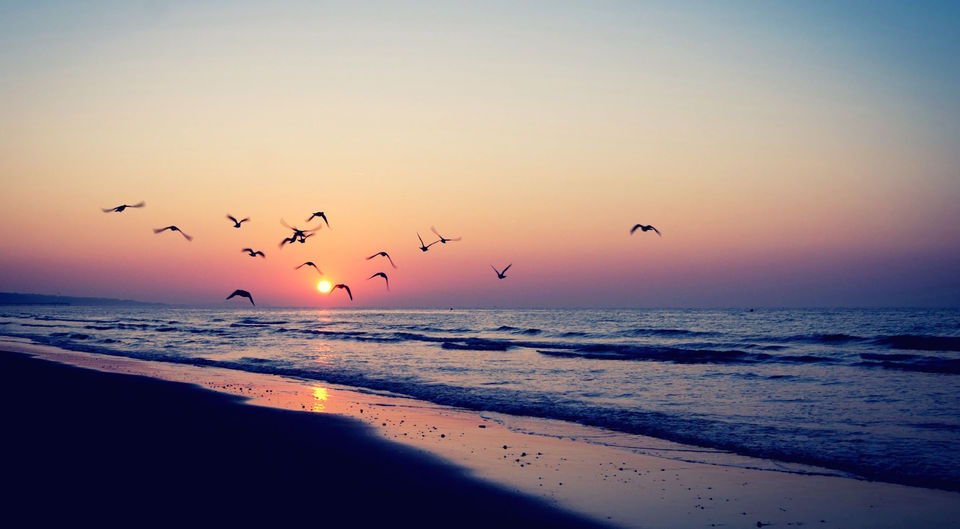 Photo of Safarnama: 5 songs that beautifully express wanderlust 4/6 by Devika Asthana