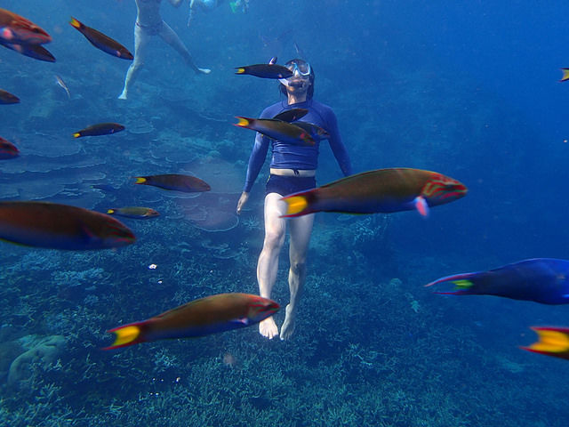 Photo of Top 10 Singapore Adventure Activities 3/10 by thetravelmaniac