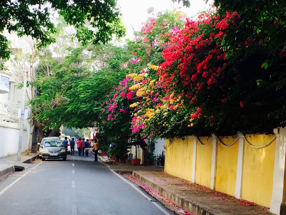 Photo of South Sojourn: How I Used Technology to Save Money and Meet Awesome People on the Road 15/17 by Kanika Gupta