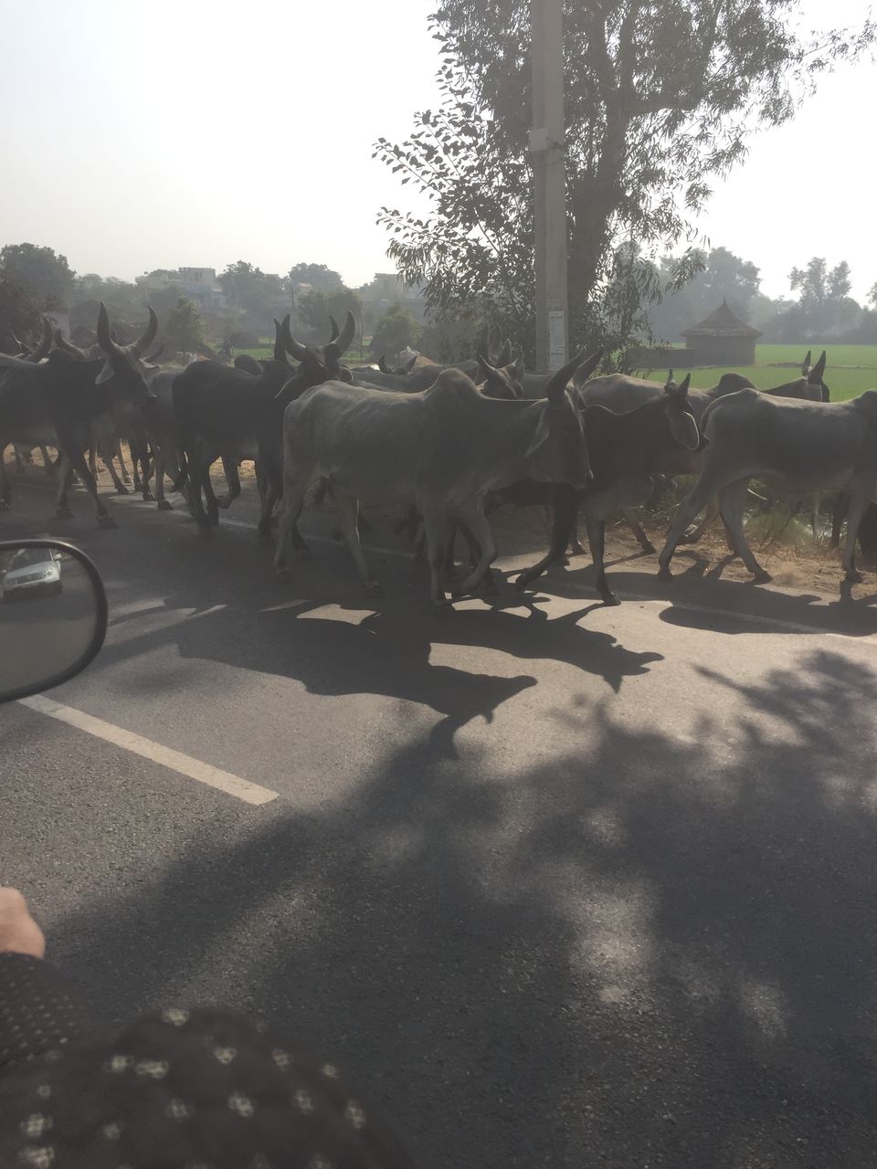 Photo of Agra-FatehpurSikri-Bharatpur-Mathura-Vrindavan weekend Trip from Gurgaon On my Royal Enfield 8/12 by Rupesh Rai