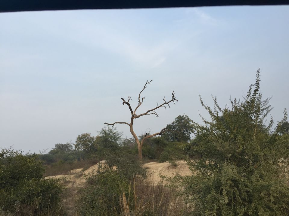 Photo of Agra-FatehpurSikri-Bharatpur-Mathura-Vrindavan weekend Trip from Gurgaon On my Royal Enfield 12/12 by Rupesh Rai