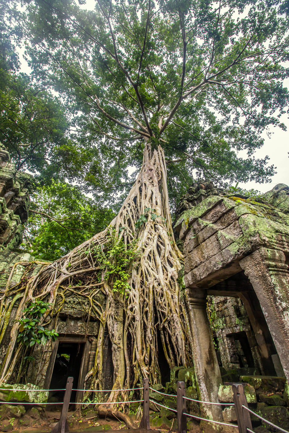 Photo of 11 reasons beyond Angkor Wat that will excite you to visit the Temple city of Cambodia 16/18 by Ayan Das