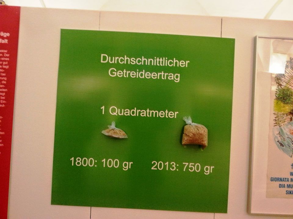 Photo of Museum of Bread Culture, Ulm 61/72 by Aparna Parinam