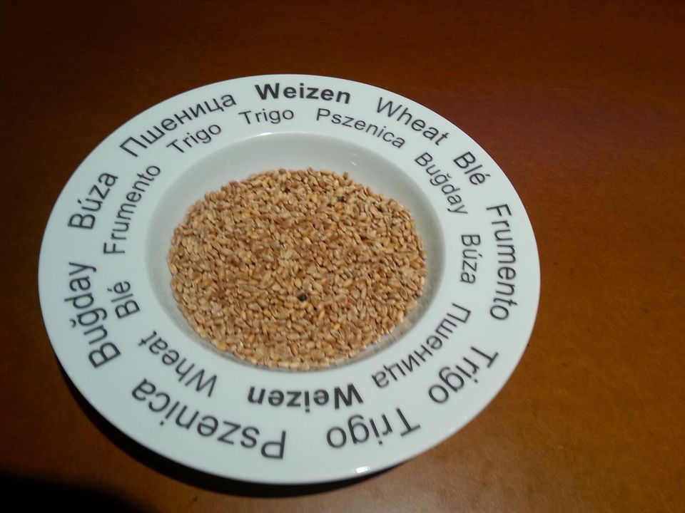 Photo of Museum of Bread Culture, Ulm 70/72 by Aparna Parinam