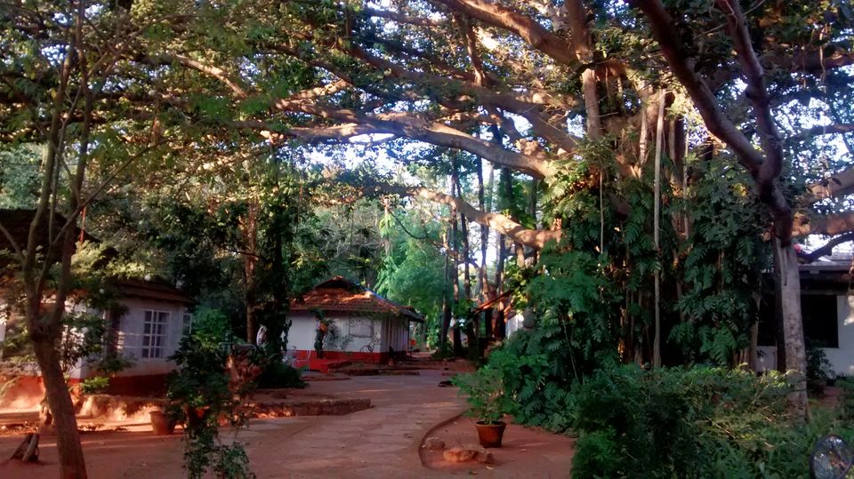 Photo of And Auroville happened! 7/10 by Aditi Pandya