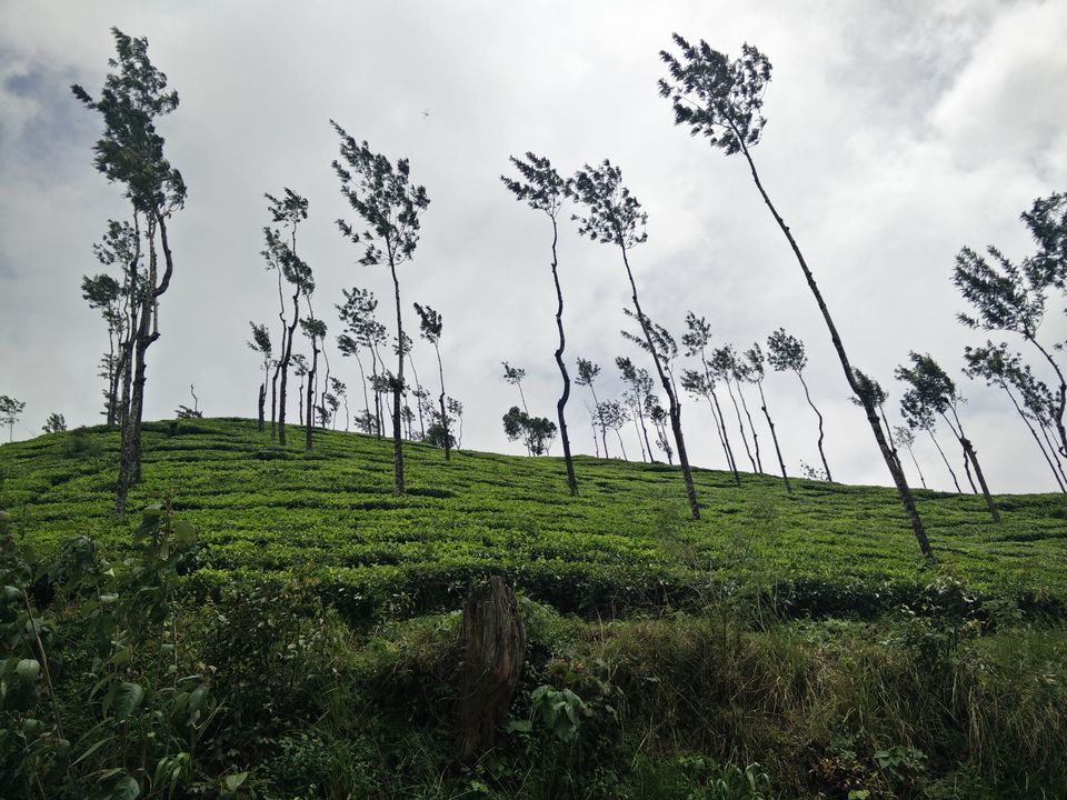 Photo of You always have something unique in store: Kelagoor 46/68 by Jaswanth Jagadeesh Insta: #jaswantravels
