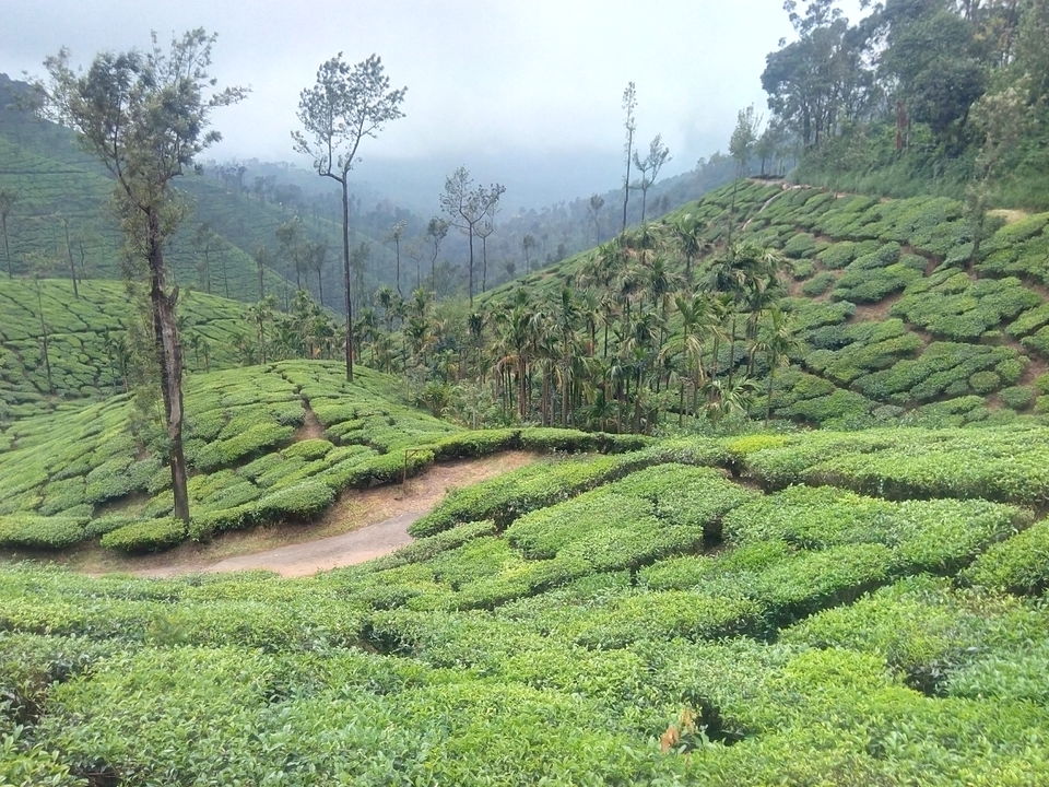 Photo of You always have something unique in store: Kelagoor 48/68 by Jaswanth Jagadeesh Insta: #jaswantravels