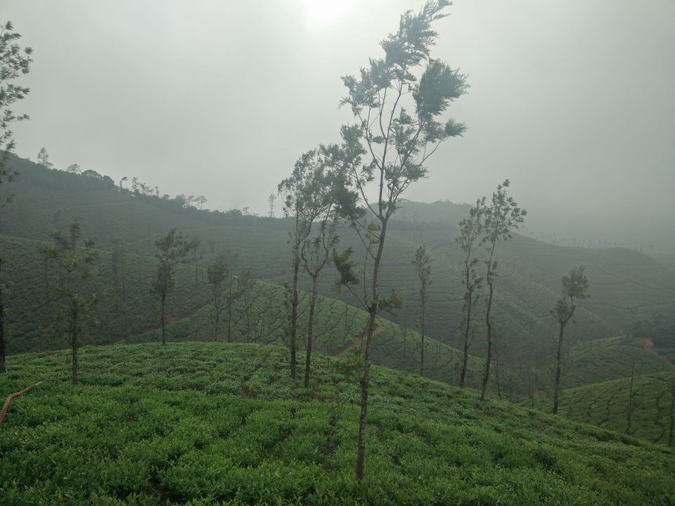 Photo of You always have something unique in store: Kelagoor 52/68 by Jaswanth Jagadeesh Insta: #jaswantravels