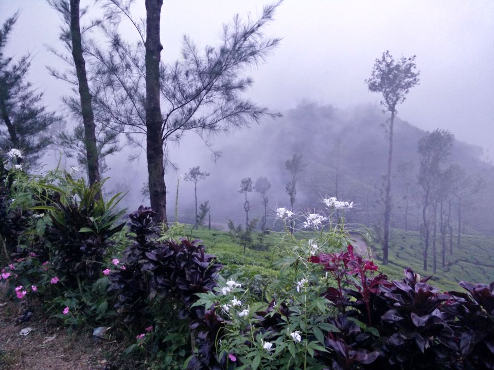 Photo of You always have something unique in store: Kelagoor 58/68 by Jaswanth Jagadeesh Insta: #jaswantravels