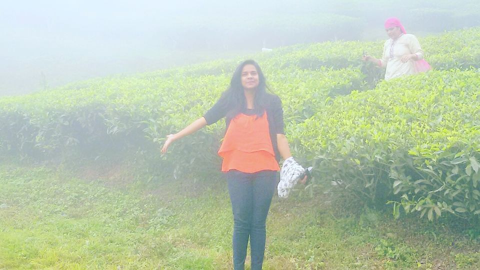 Photo of Munnar- Heaven in Disguise 6/6 by Sheeba