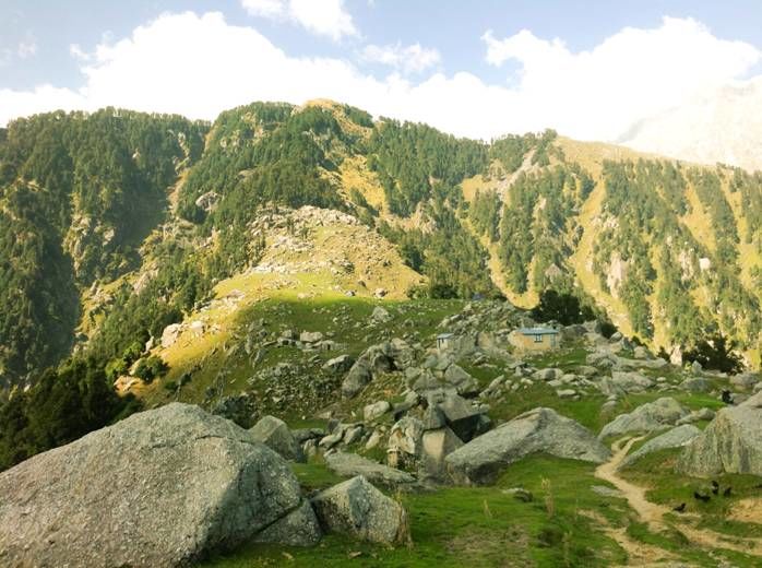 Photo of Caressing The Curves Of The Triund Valley 14/17 by Tanisha Sharma