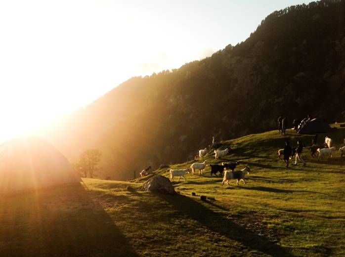 Photo of Caressing The Curves Of The Triund Valley 16/17 by Tanisha Sharma