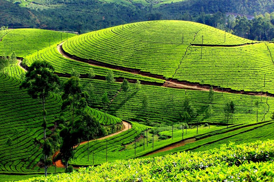 Photo of 12 Bollywood Shooting Locations In India That Will Bring Your World To A Standstill 18/23 by Gunjan Upreti