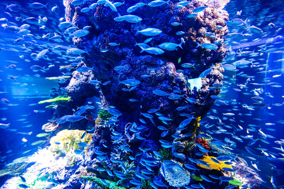 Photo of The Singapore Expedition ! 9/27 by Shraddha Zingade