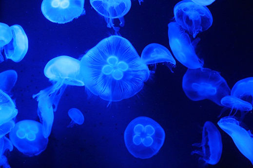 Photo of The Singapore Expedition ! 10/27 by Shraddha Zingade