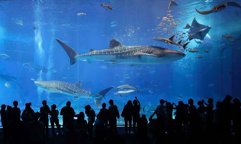 Photo of The Singapore Expedition ! 11/27 by Shraddha Zingade