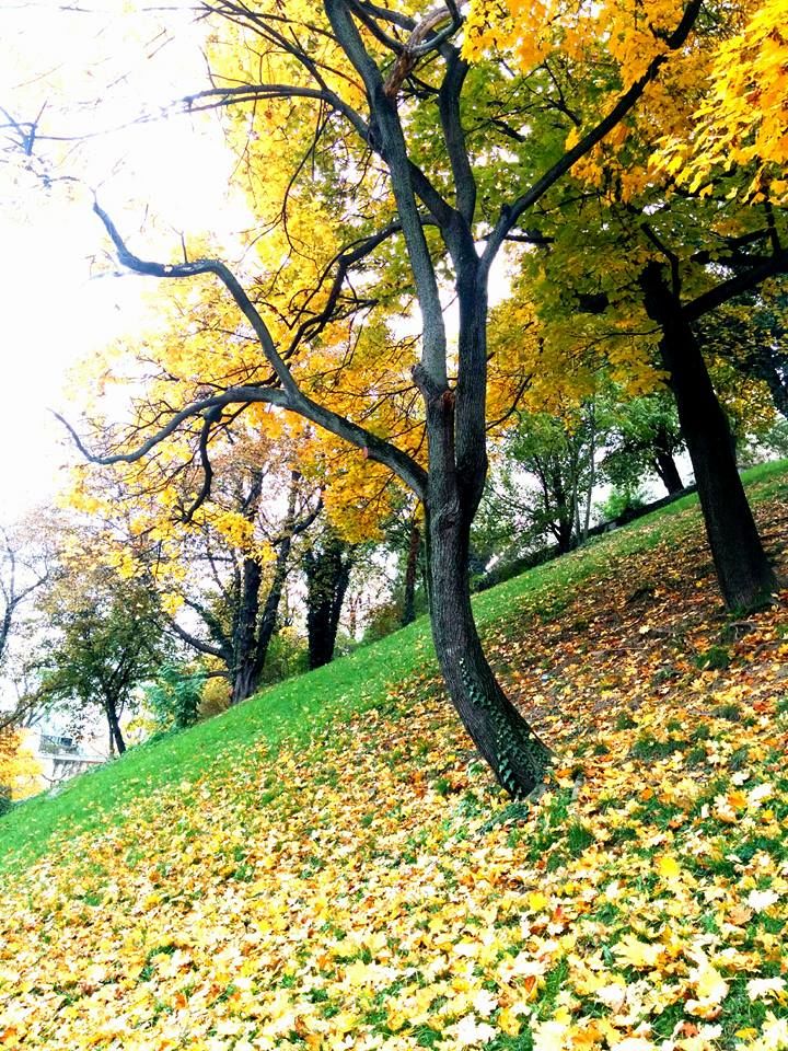 Photo of Backpacking Around Europe With A Touch Of Asia 12/23 by Sushmita Haldar
