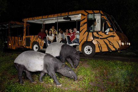 Photo of The Singapore Expedition ! 21/27 by Shraddha Zingade