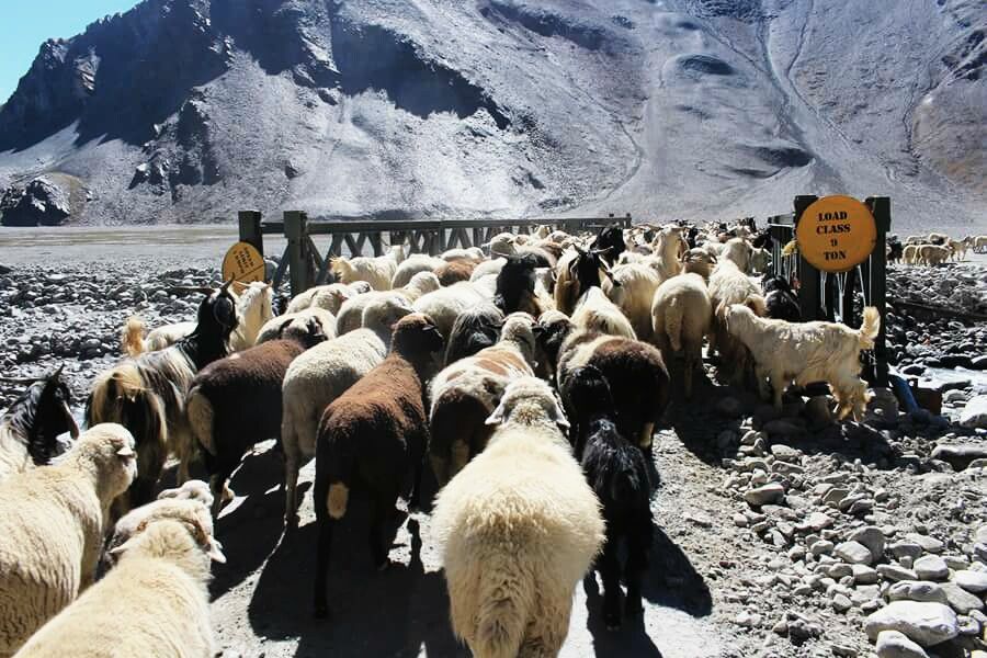 Photo of Ladakh, I was there! 37/39 by Debashish Baidya